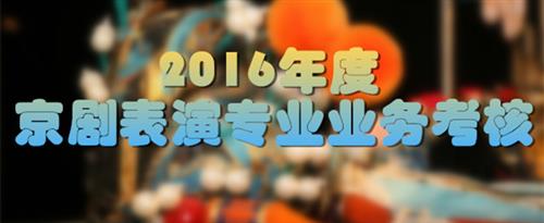 女大学生被操的网站国家京剧院2016年度京剧表演专业业务考...